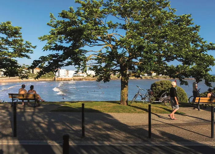 公寓 Avec Terrasse Et Animaux Acceptes En Bord De - Fr-1-494-61 *